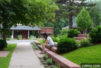 Relieve Migraine Pain Fast: Effective Home Remedies and Tips