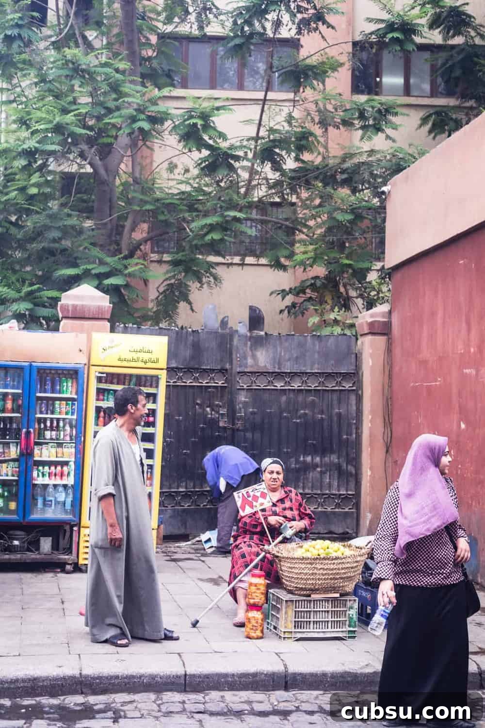Cairo Adventures: Top Experiences and Hidden Gems to Explore 14 Woman selling fruit in Old Cairo.