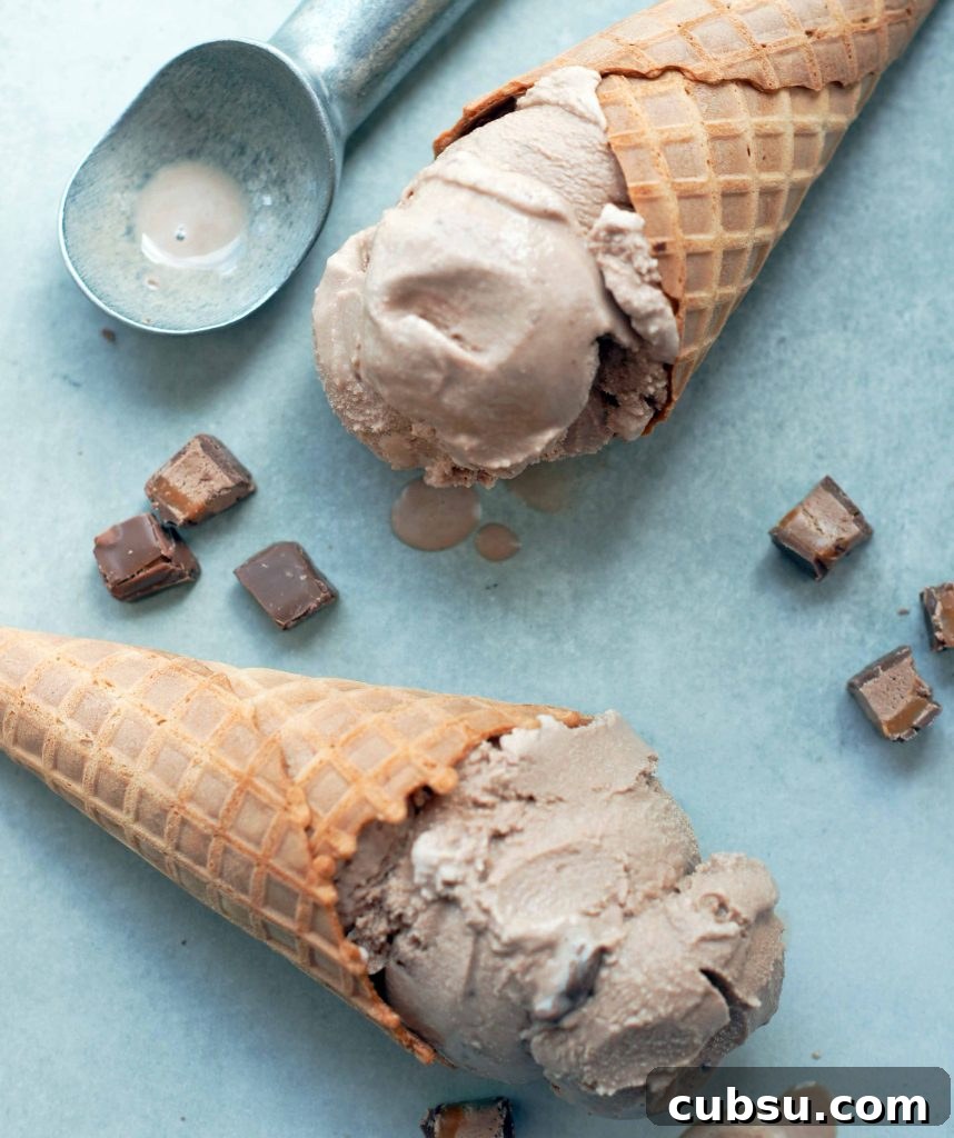 Milky Way Ice Cream Flavors: Scoop Guide & Topping Ideas 3 Homemade Milky Way Ice Cream