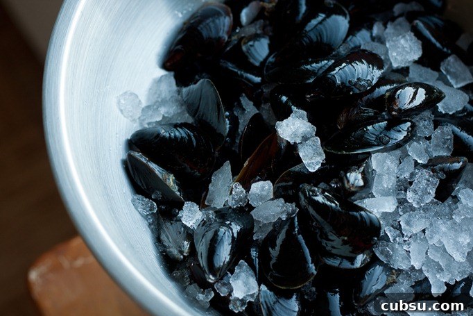 Classic Moules-Frites Recipe: French Mussels with Crispy Fries 3 French mussels in a bowl with ice