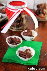 Cherry Almond Clusters: No-Bake Chocolate Snack Bites 5 img 1064 4