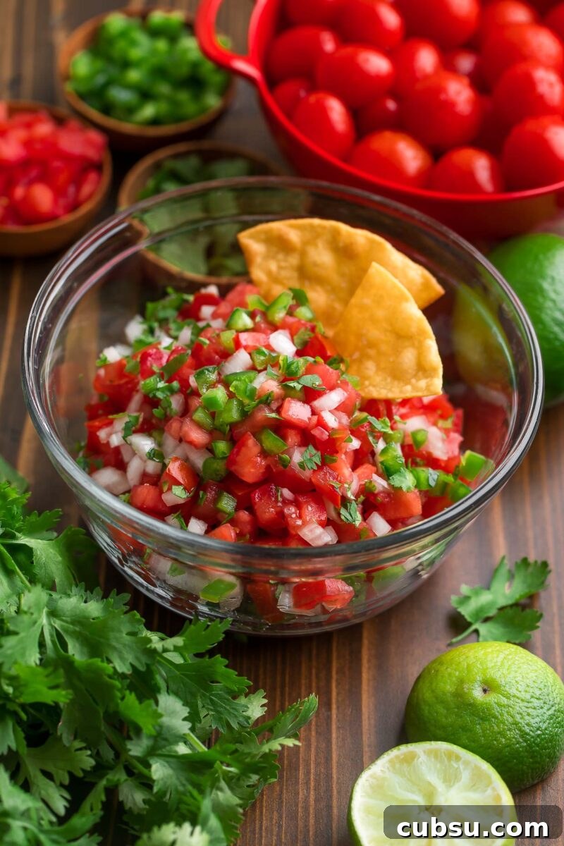 Pico de Gallo (Fresh Salsa) — Authentic Mexican Tomato Salsa Recipe 4 Fresh Salsa with Cilantro and Tortilla Chips