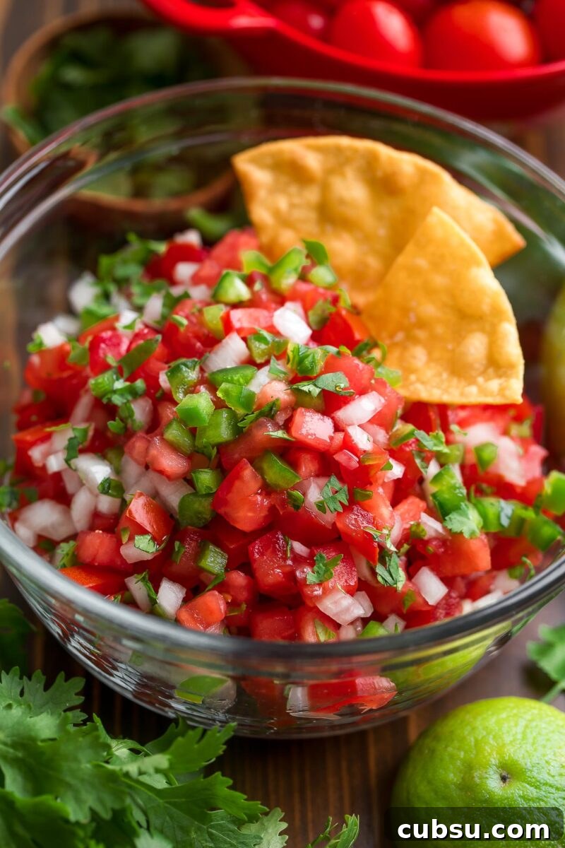 Pico de Gallo (Fresh Salsa) — Authentic Mexican Tomato Salsa Recipe 6 Fresh Bowl of Pico de Gallo Chopped Salsa