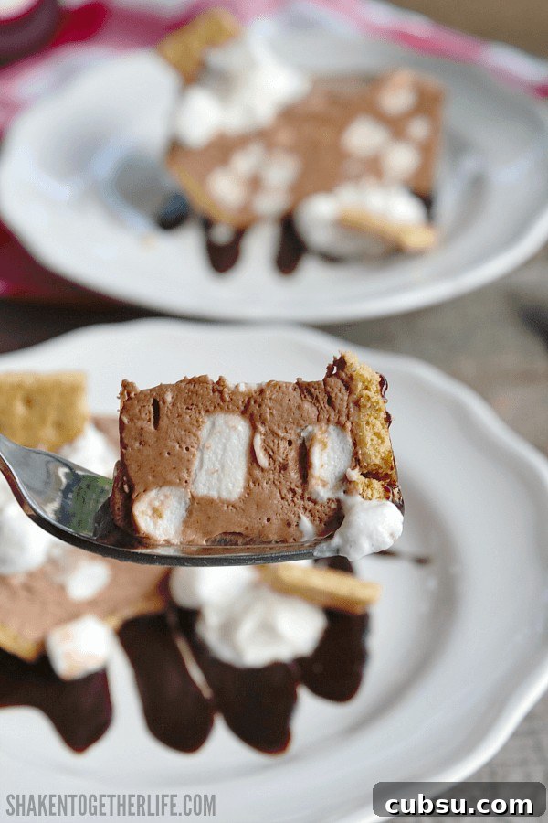 You won't be able to stop at just one bite of this creamy, dreamy Frozen S'mores Pudding Pie!