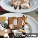 You won't be able to stop at just one bite of this creamy, dreamy Frozen S'mores Pudding Pie!