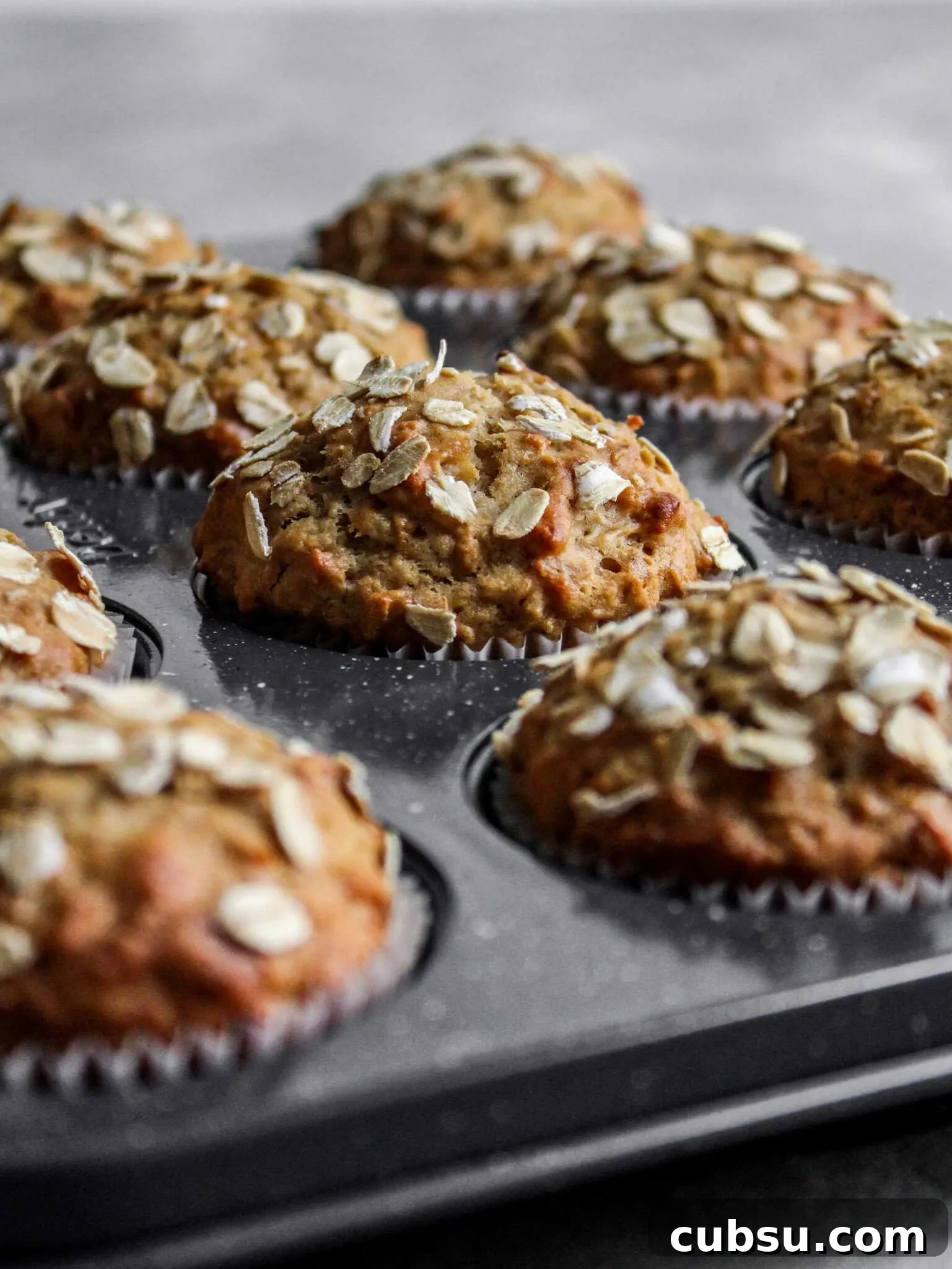 Muffins vs Cupcakes: Key Differences, Taste & Baking Tips 12 oatmeal muffins in baking pan (2)