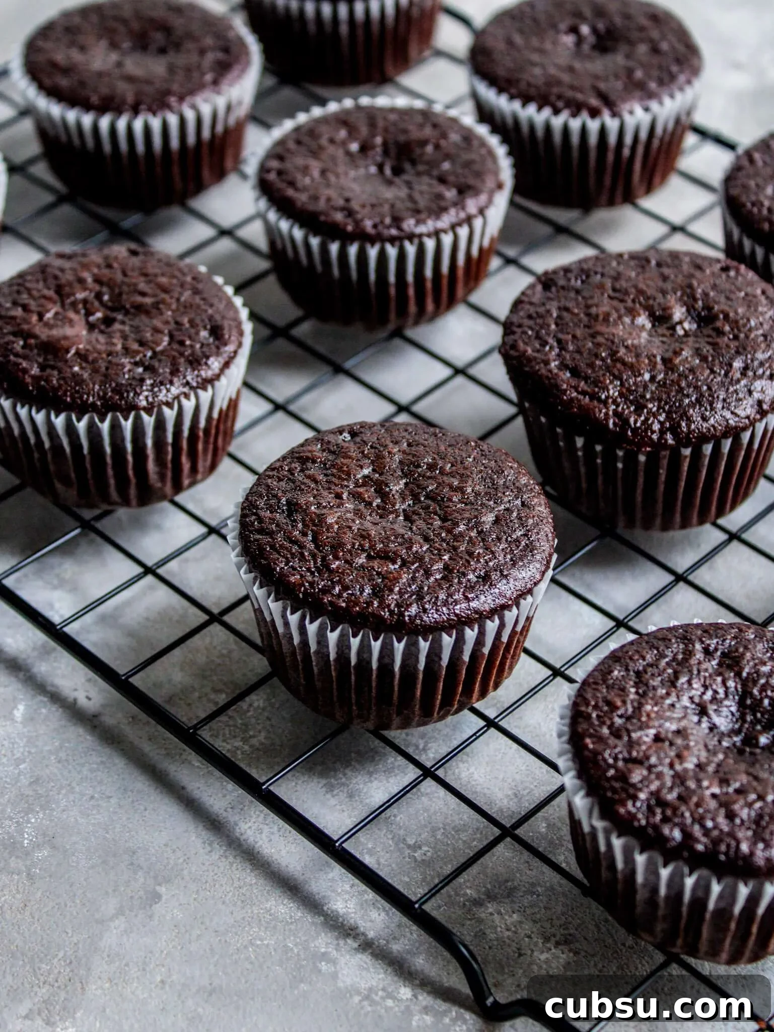 Muffins vs Cupcakes: Key Differences, Taste & Baking Tips 13 baked chocolate cupcakes on wire rack