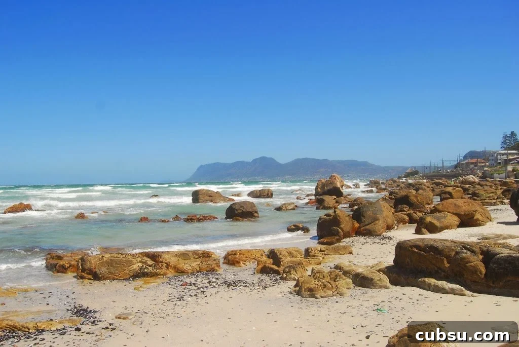 A Duck's Oven: Our visit to Muizenberg Beach just outside of Cape Town, South Africa
