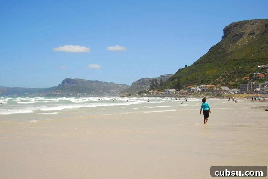 A Duck's Oven: Our visit to Muizenberg Beach just outside of Cape Town, South Africa