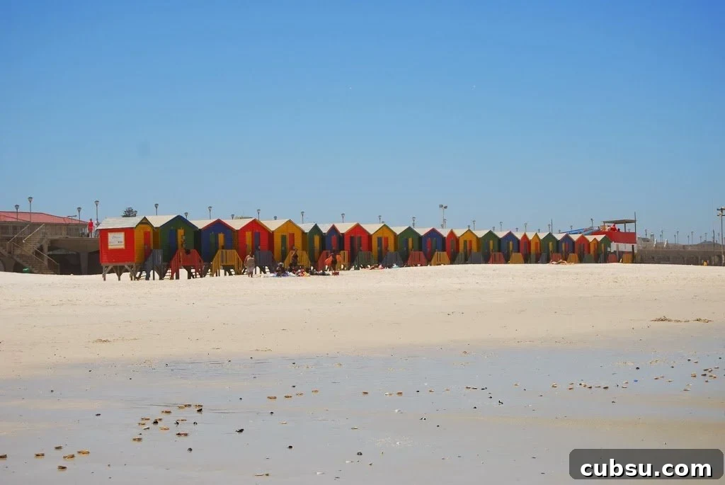 A Duck's Oven: Our visit to Muizenberg Beach just outside of Cape Town, South Africa