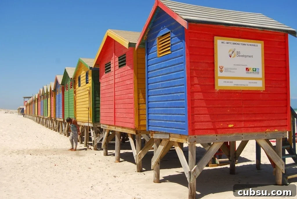 A Duck's Oven: Our visit to Muizenberg Beach just outside of Cape Town, South Africa