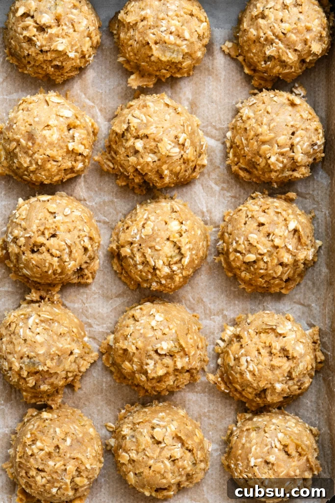 Zesty Lemon Oatmeal Cookies with a Refreshing Iced Glaze 4 Overhead view of oatmeal cookie dough scooped into balls and placed in rows on parchment paper.