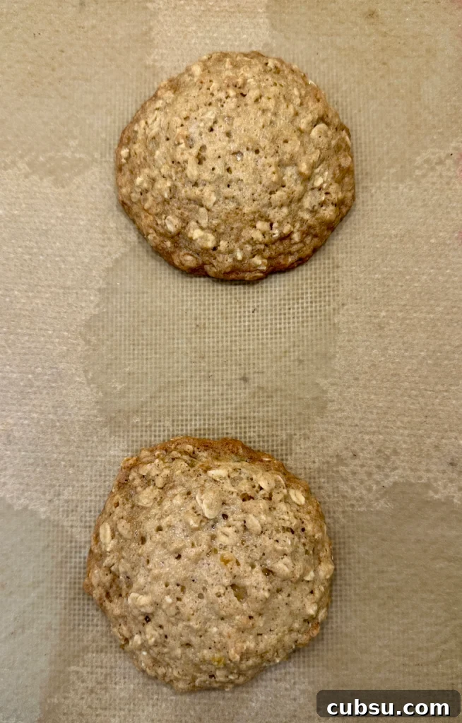 Zesty Lemon Oatmeal Cookies with a Refreshing Iced Glaze 5 Two just baked oatmeal cookies on parchment paper.