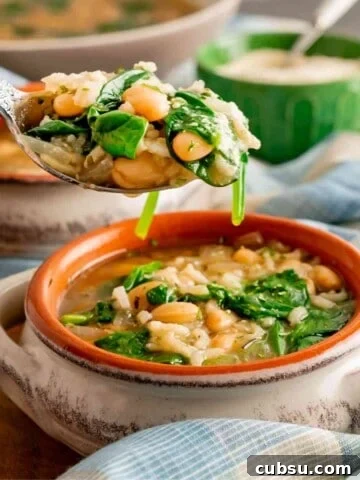 A spoon lifted out of a bowl of white bean and spinach soup.