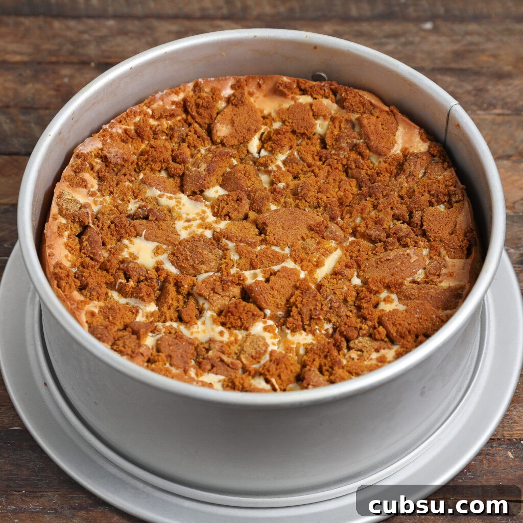 Pumpkin Cheesecake Cake Recipe for Fall Desserts 8 img 11800 7