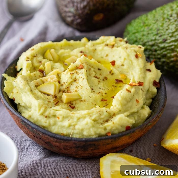 Quick After-School Snack Ideas Kids Will Love 11 Best Avocado Hummus