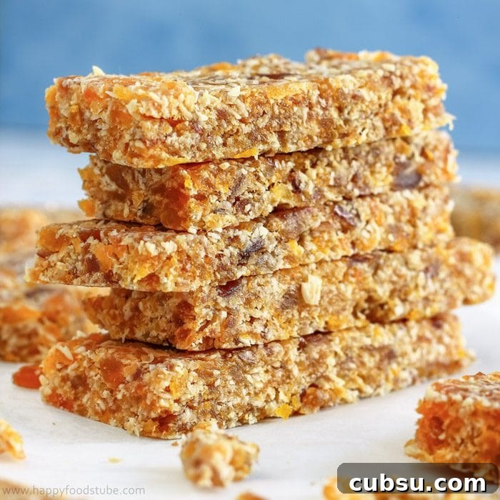 Quick After-School Snack Ideas Kids Will Love 4 Fruity No Bake Energy Bars Image