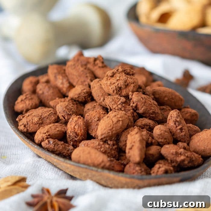 Quick After-School Snack Ideas Kids Will Love 9 Spiced Cocoa Roasted Almonds Closeup