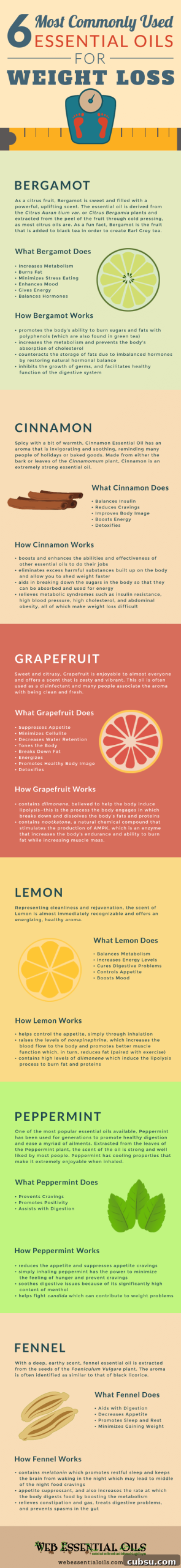 7 Charts to Simplify Your Weight Loss Journey 3 Essential oils for weight loss chart