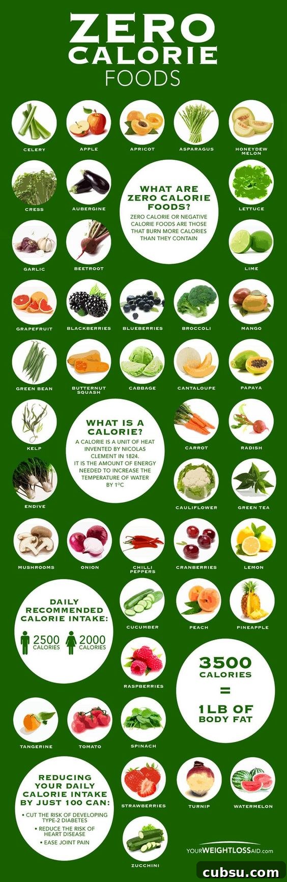 7 Charts to Simplify Your Weight Loss Journey 4 Zero calorie foods chart