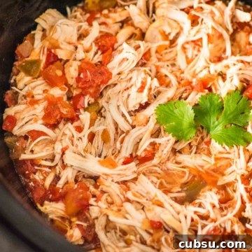 Shredded chicken in a slow cooker with salsa and cilantro.