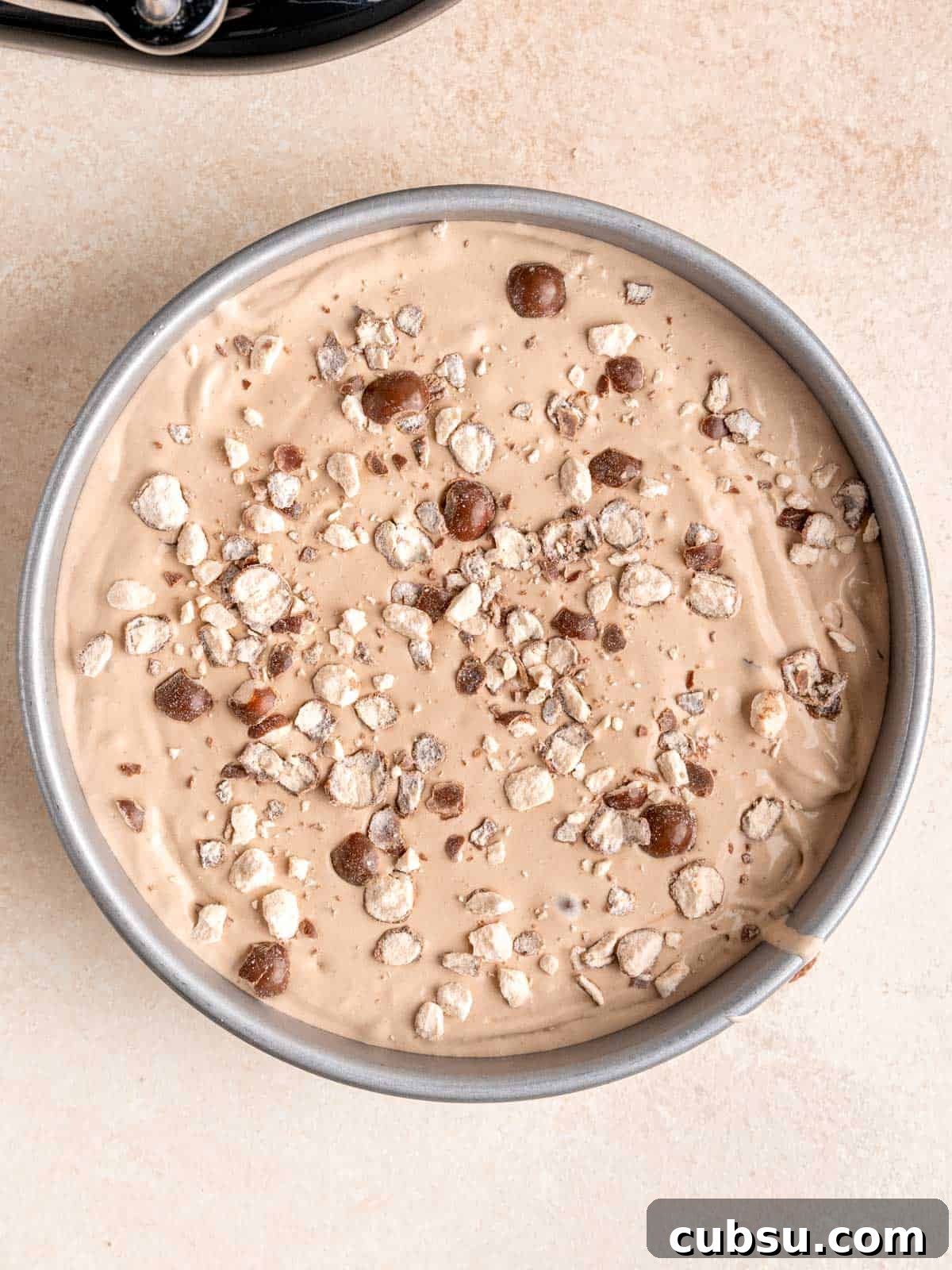 Chocolate malted crunch ice cream in a round 9-inch pan with crushed Whoppers on top.