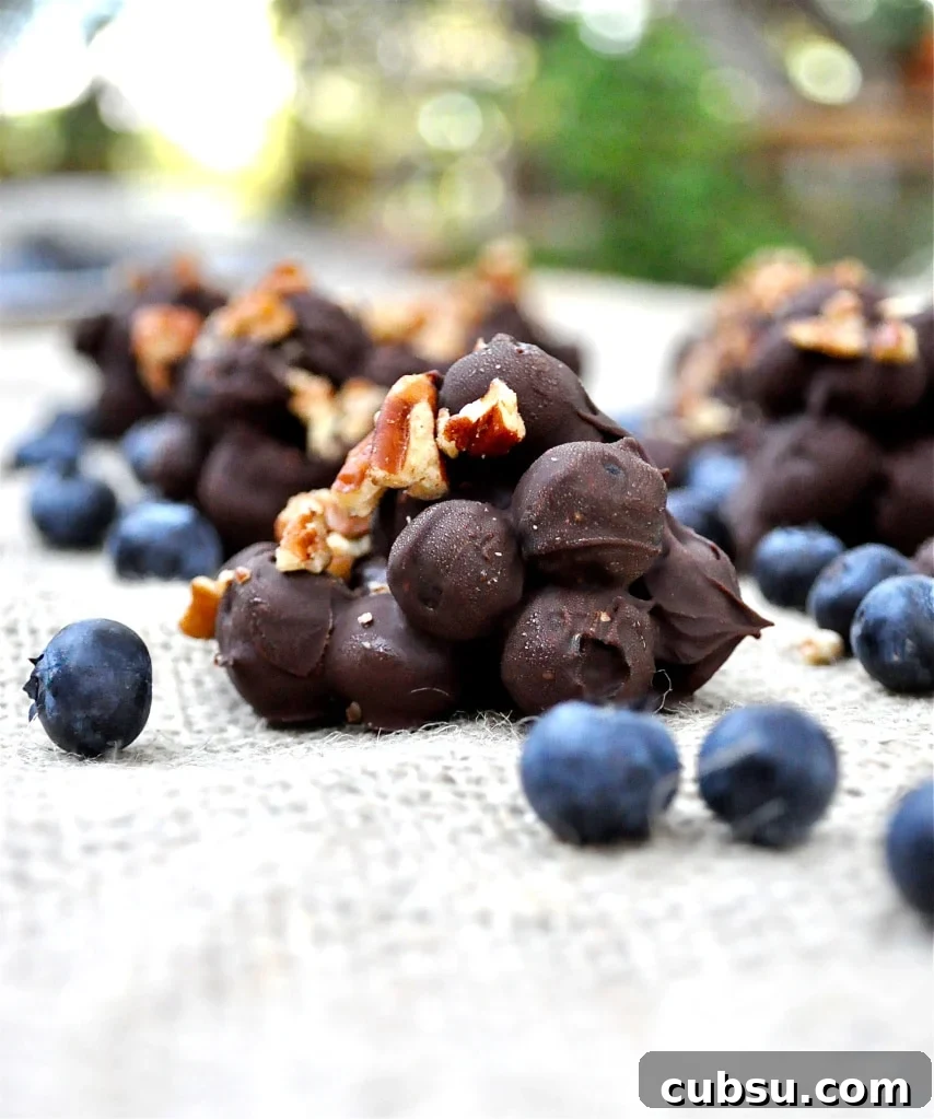 dark chocolate blueberry clusters