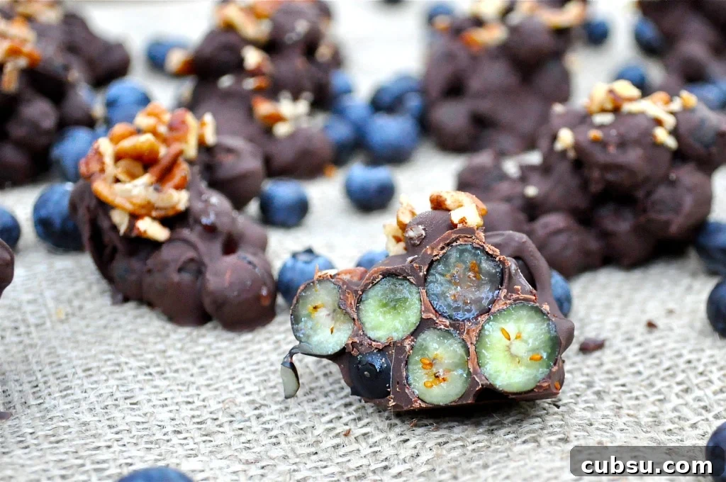 dark chocolate blueberry clusters