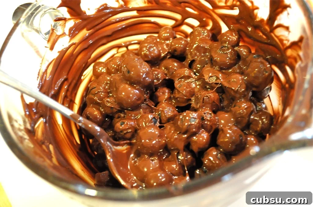 melted chocolate and blueberries