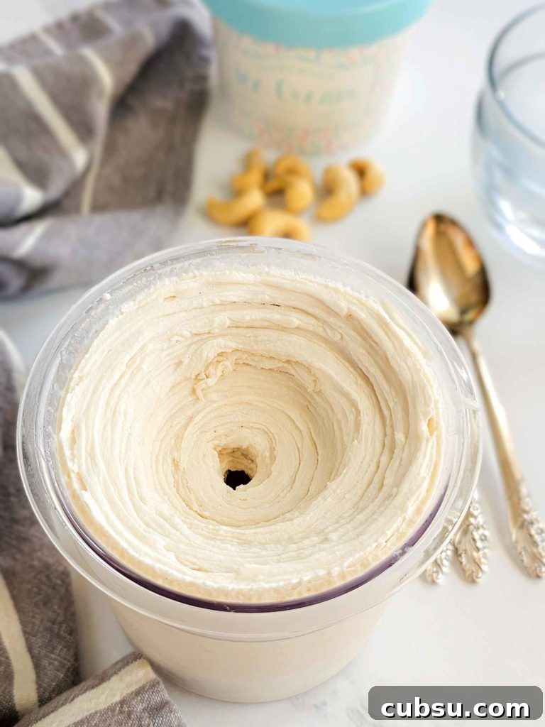 scoop of dairy free vanilla ice cream