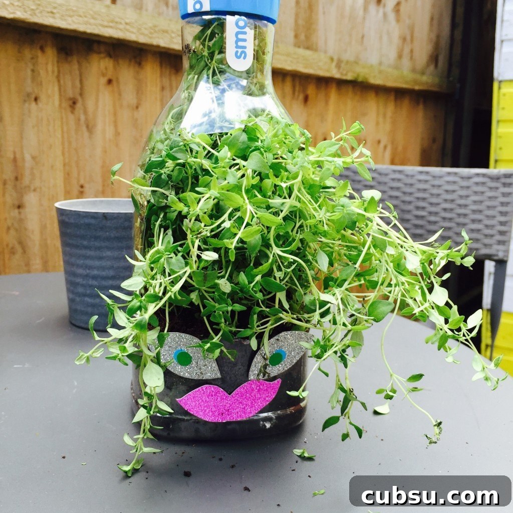 Fun Spring Activities for Kids: Outdoor Crafts, Games & Ideas 5 juice bottle herb planters, kids gardening activities, kids summer activities, herb garden for kids