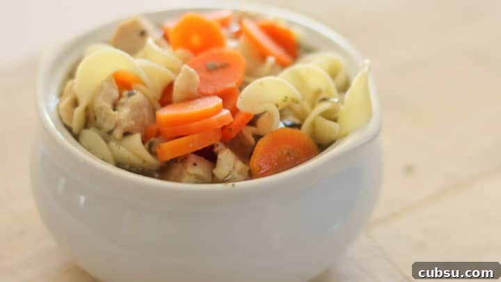 Homemade Chicken Noodle Soup Recipe with Comforting Flavor 2 Quick and Easy Chicken Noodle Soup