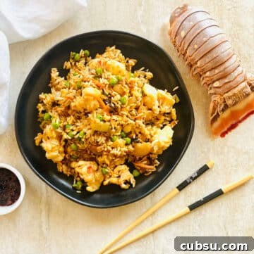 lobster fried rice on plate.