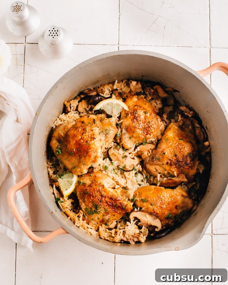 One Pot Easy Oven Baked Chicken and Rice with Lemon and Mushrooms