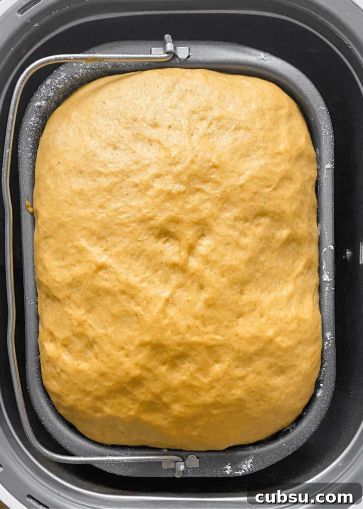 Pumpkin Chocolate Bread