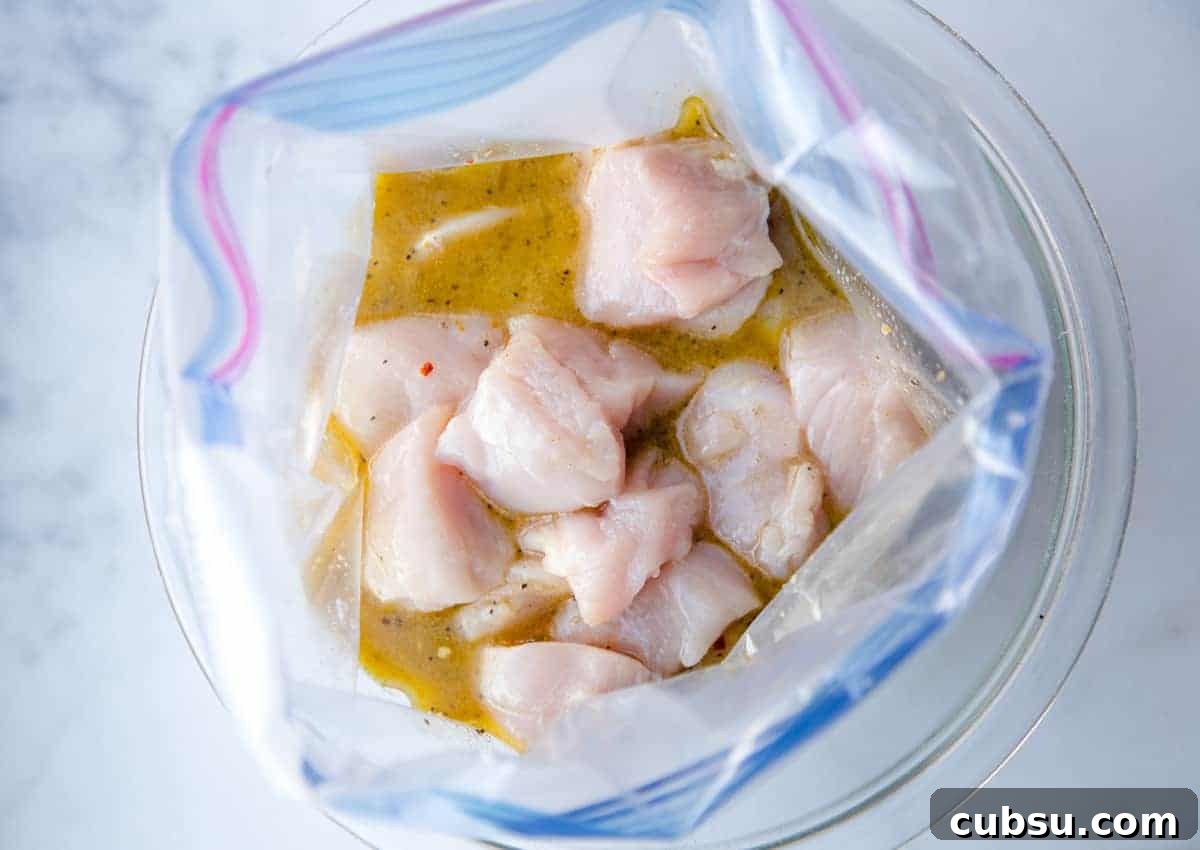 chicken in baggie of marinade