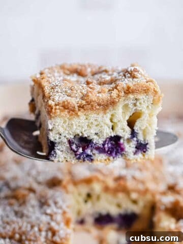 A pie knife is holding a piece of the bisquick blueberry coffee cake.
