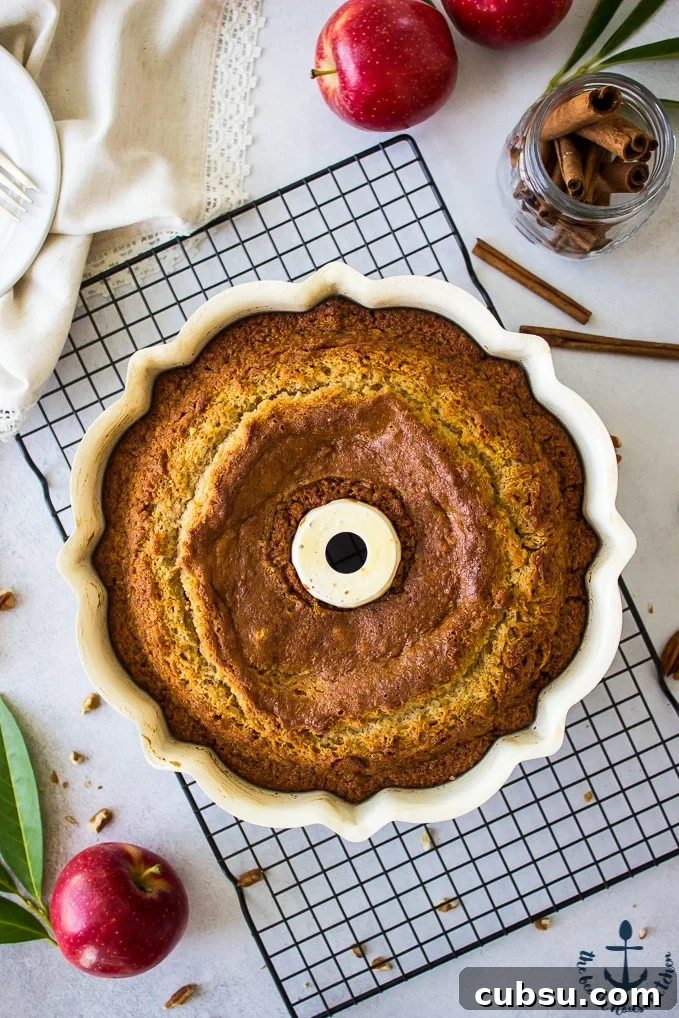 Apple-Cider-Doughnut-Bundt-Cake-with-Pecan-Brown-Sugar-Ripple Overhead photo of Apple Cider Doughnut Bundt Cake with Pecan Brown Sugar Ripple in bundt pan on wire rack surrounded by red apples and cinnamon sticks.
