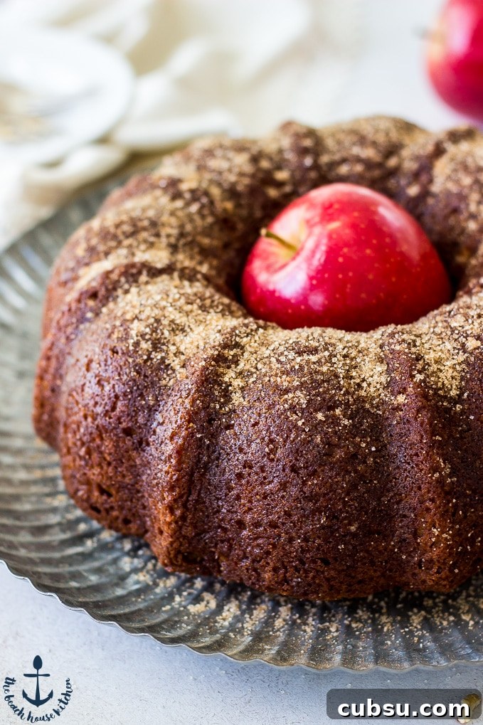 Apple-Cider-Doughnut-Bundt-Cake-with-Pecan-Brown-Sugar-Ripple Up close photo of Apple Cider Doughnut Bundt Cake with Pecan Brown Sugar Ripple with red apple in middle of cake.