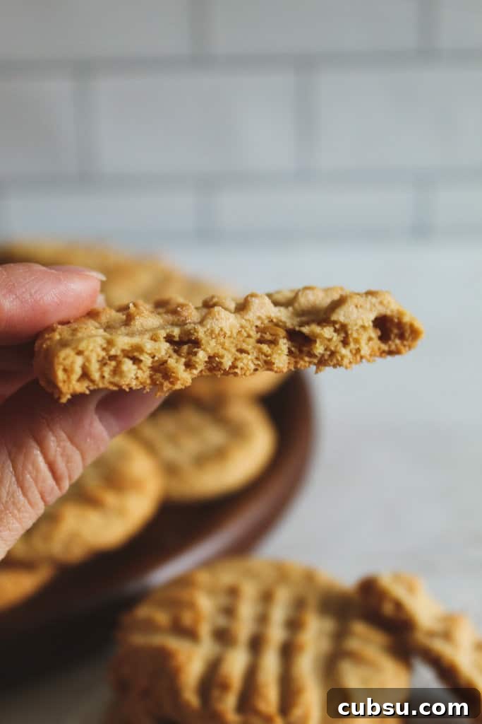 Gluten-Free Peanut Butter Cookies Recipe You’ll Love 3 hand holding peanut butter cookie.