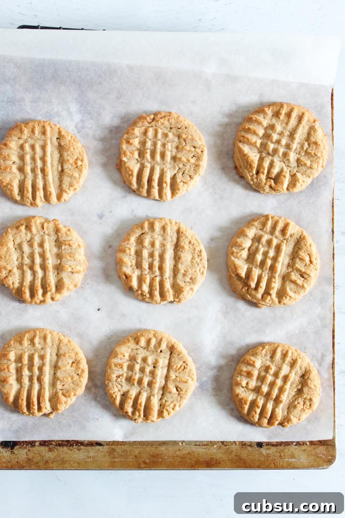 Gluten-Free Peanut Butter Cookies Recipe You’ll Love 7 baked cookies on a cookie sheet.