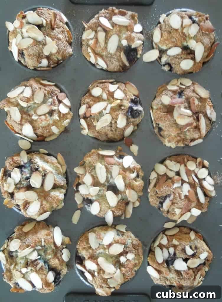 Gluten-Free Blueberry Almond Muffins