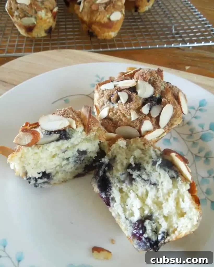 Blueberry Almond Muffins close-up