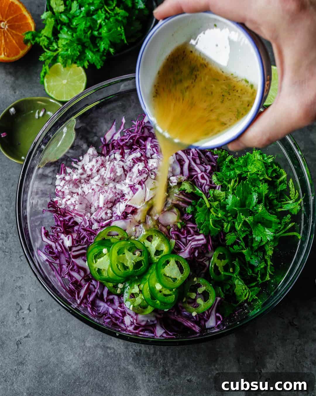 Zesty Purple Cabbage Slaw (Whole30-Friendly) 2 Purple Cabbage Slaw Whole 30 Paleo Primal Gourmet Easy Recipe