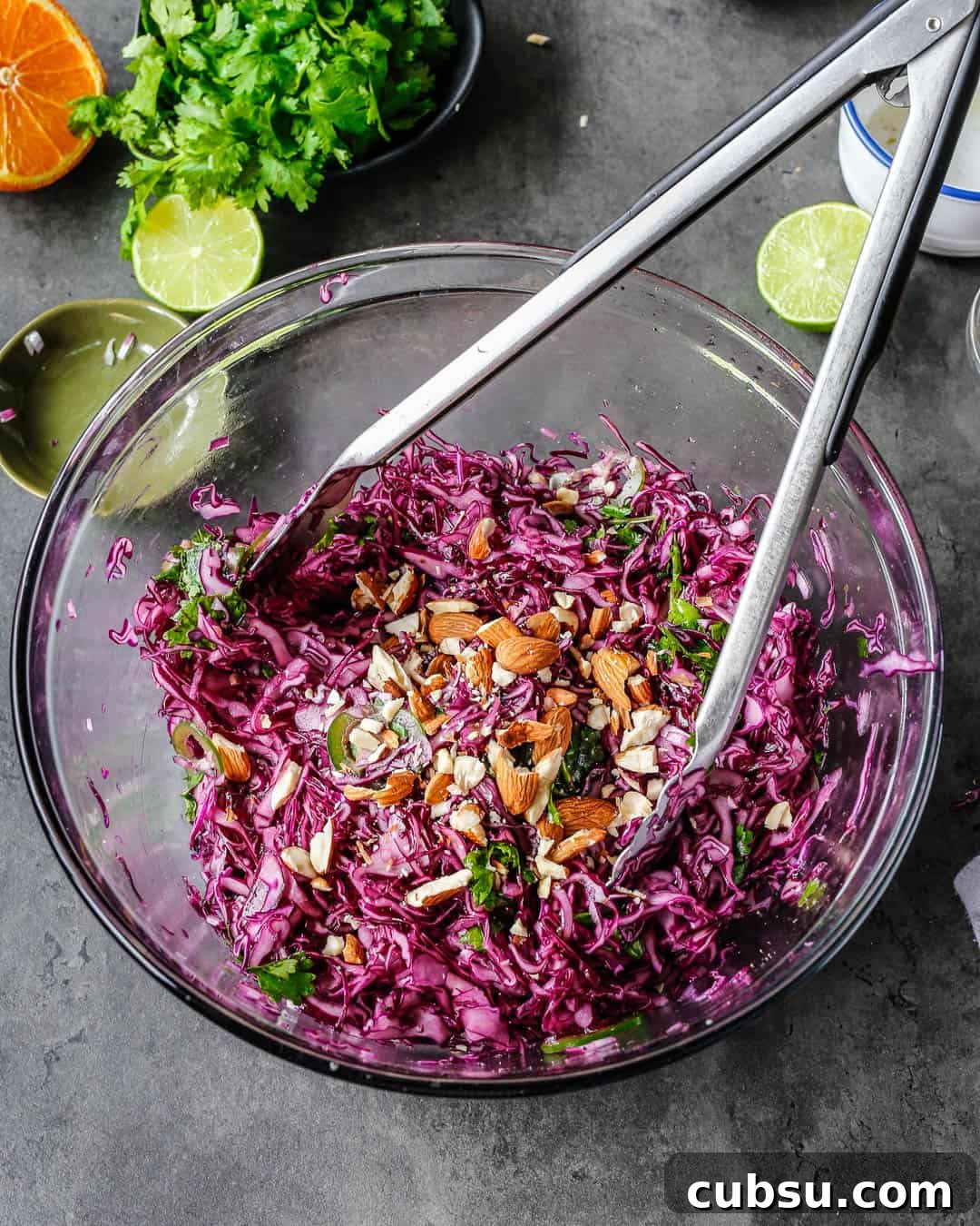 Zesty Purple Cabbage Slaw (Whole30-Friendly) 3 Purple Cabbage Slaw Whole 30 Paleo Primal Gourmet Easy Recipe
