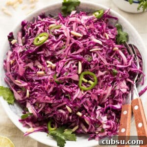 Zesty Purple Cabbage Slaw (Whole30-Friendly) 4 Whole30 Zesty Purple Cabbage Slaw Paleo Primal Gourmet Easy Recipe