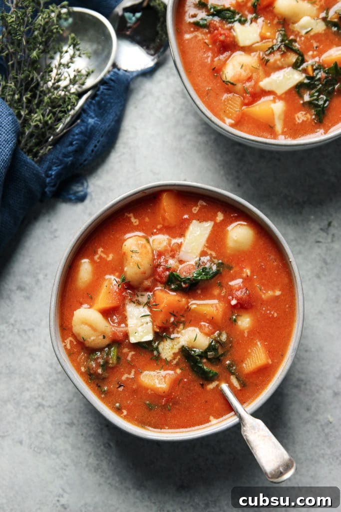 Flavorful tomato-based soup in two bowls