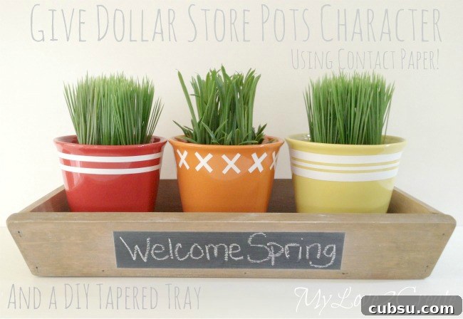 DIY Tapered Tray & Dollar Store Pots dressed up with contact paper