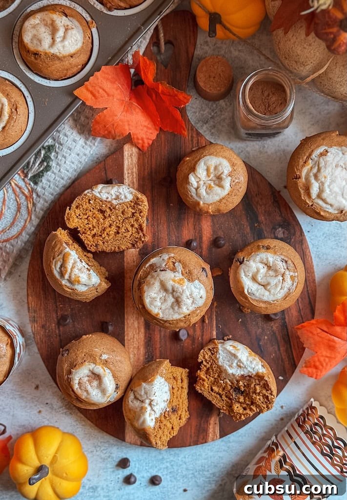 Pumpkin Cream Cheese Muffins with Chocolate Chips Recipe 2 Pumpkin cream cheese muffins with chocolate chips on wooden board – fall baking recipe inspired by Starbucks pumpkin muffin.