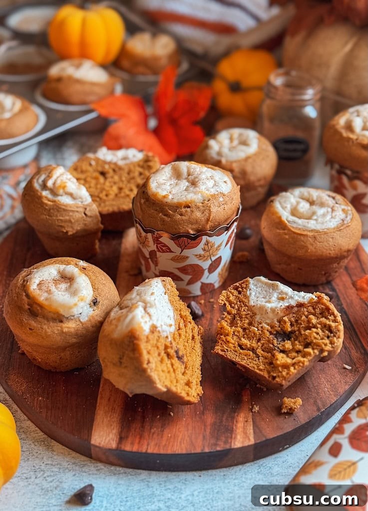 Pumpkin Cream Cheese Muffins with Chocolate Chips Recipe 3 Pumpkin cream cheese muffins with chocolate chips on wooden board – fall baking recipe inspired by Starbucks pumpkin muffin.
